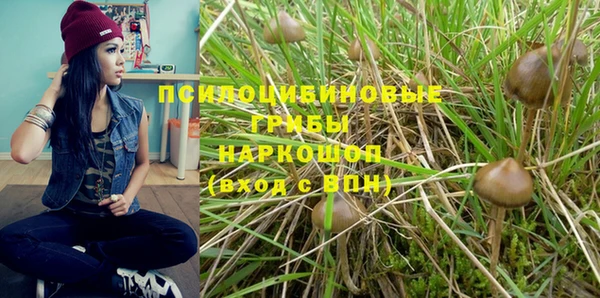 гашиш Аркадак