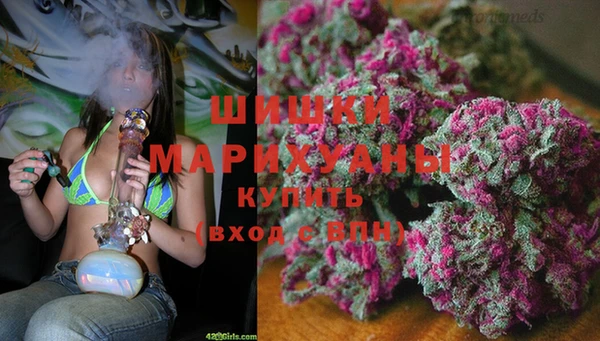 дурь Арсеньев