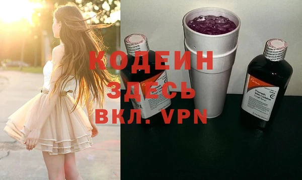 дурь Арсеньев